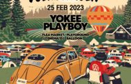 NORTHERN VOLKSWAGEN : ACOUSTIC CAMP LIFE 2023 2nd